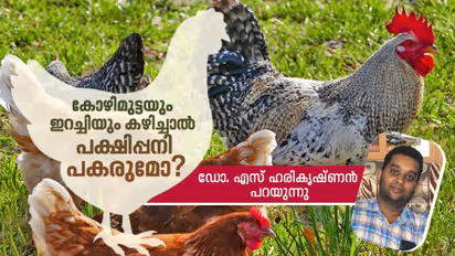 പക്ഷിപ്പനി: മനുഷ്യരിലേക്ക് രോഗം പകരുമോ? എങ്ങനെ?