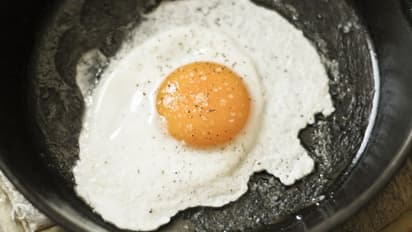 പക്ഷിപ്പനി; ബുൾസ് ഐയും പാതിവേവിച്ച മുട്ടയും കഴിക്കരുതേ, മുന്നറിയിപ്പുമായി മൃഗസംരക്ഷണ വകുപ്പ്