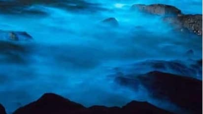 ಕಾರವಾರ ಕಡಲಲ್ಲಿ ಬಣ್ಣದ ಅಲೆ!  ಮಾಜಾಳಿ ತೀರದಲ್ಲಿ ವಿಸ್ಮಯ