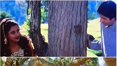 অমিতাভের সঙ্গে ঘনিষ্ঠ দিনগুলোকে স্মরণ করে কেন বিবাগি হলেন 'দিদি নং ১' রচনা