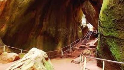 കൊവിഡ് 19: എടക്കൽ ഗുഹ അടച്ചു, മറ്റ് ടൂറിസം കേന്ദ്രങ്ങൾ അടക്കാത്തതിൽ പ്രതിഷേധം ശക്തമാകുന്നു