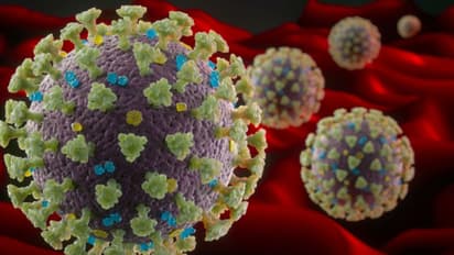 Coronavirus in India: Infosys evacuates building in Bengaluru after employee comes in