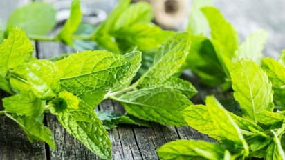 പ്രതിരോധശേഷി വര്ധിപ്പിക്കാന് ഇതാ ഒരു കലക്കന് ജ്യൂസ്!