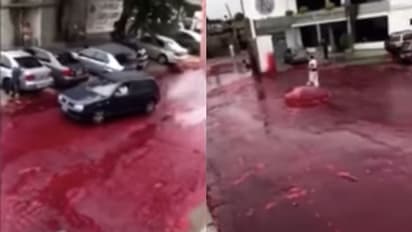 রাস্তায় বইছে পচা রক্তস্রোত, দুর্গন্ধে ভরেছে গোটা এলাকা