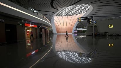 ಕೊರೋನಾಗೆ ಎಲ್ಲವೂ ಸ್ತಬ್ಧ: ಜನರಿಂದ ಗಿಜಿಗುಡುತ್ತಿದ್ದ ಪ್ರದೇಶದಲ್ಲಿ ನೊಣಗಳ ಕಾರುಬಾರು!