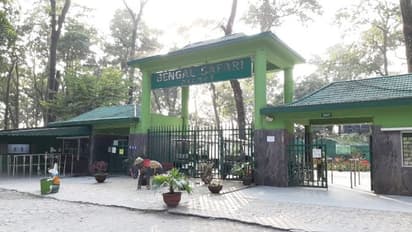 করোনার আতঙ্ক, শিলিগুড়ির বেঙ্গল সাফারি পার্ক বন্ধের বিজ্ঞপ্তি জারি রাজ্যের