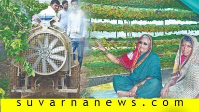 ಕಲಬುರಗಿಯಲ್ಲಿ 'ಭೀಮಾ' ಬಲ; ದ್ರಾಕ್ಷಿ ಕೃಷಿಯಿಂದ ರೈತನ ಕಜಾನೆ ಫುಲ್ ಕಾಂಚಣ!