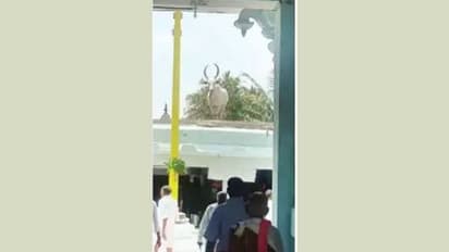 ದೇವಾಲಯದ ಕಟ್ಟಡದ ಮೇಲೇರಿದ ಬಸವ!