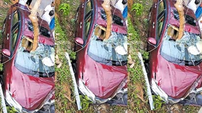 കുത്തനെ വീണ മരക്കൊമ്പ് സീറ്റില് കുത്തിക്കയറി, ഓടിക്കൊണ്ടിരുന്ന കാറിന് സംഭവിച്ചത്!