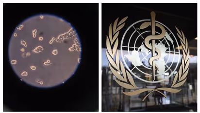 গরম ও আর্দ্রতা কোনও কিছুতেই কাবু হবে না কোভিড-১৯, উদ্বেগ বাড়িয়ে জানিয়ে দিল 'হু'