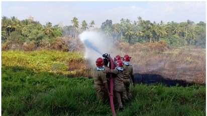 കൃഷിക്കായി ഒരുക്കങ്ങൾ നടക്കുന്നതിനിടെ മാന്നാറില്‍ പാടശേഖരത്തിന് തീപിടിച്ചു