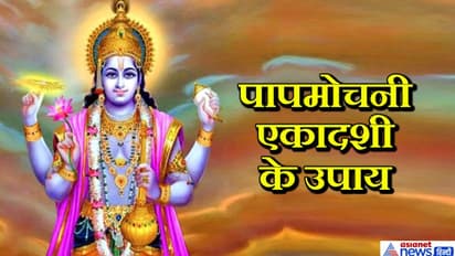 20 मार्च को शुक्रवार और एकादशी का योग, ये उपाय करने से चमक सकती है आपकी किस्मत