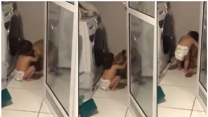 പേടിക്കണ്ട ട്ടോ...ഞാനില്ലേ കൂടെ? പേടിച്ച് മൂലയിലൊളിച്ച നായ്ക്കുട്ടിയെ ആരാണ് ആശ്വസിപ്പിക്കുന്നതെന്ന് നോക്കൂ...