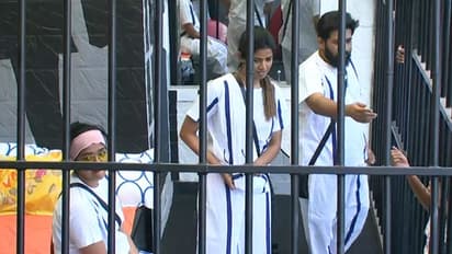 മോശം പ്രകടനം; ബിഗ് ബോസ് ജയിലിലേക്ക് രഘു, അമൃത, അഭിരാമി