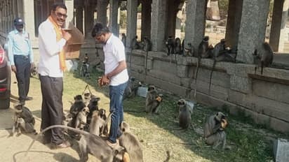 ಪ್ರಾಣಿಗಳಿಗೂ ತಟ್ಟಿದ ಕೊರೋನಾ ಭೀತಿ: ಹಸಿದ ಕೋತಿಗಳಿಗೆ ಆಹಾರ ಪೂರೈಕೆ