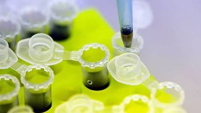 பல நாட்கள் காத்திருக்க வேண்டாம்! 45 நிமிடத்தில் கொரோனா உள்ளதா என உறுதி செய்து விடலாம்! வருகிறது புதிய கருவி!