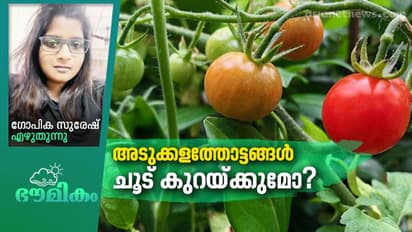 വീട്ടുമുറ്റത്തെ കൊച്ചുപൂന്തോട്ടങ്ങൾ വെറും കാഴ്‍ചയ്ക്ക് മാത്രമല്ല!