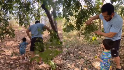 Video of Salman Khan picking fruits with nephew Ahil will melt your heart