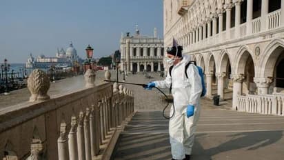 ಮನೆಯೊಳಗೆ ಬಂಧಿಯಾದ ಮನುಜ, ಪ್ರಾಣಿ ಪಕ್ಷಿಗಳ ಸ್ವಚ್ಛಂದ ವಿಹಾರ!