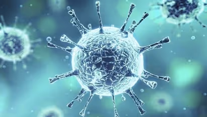 కొత్తగా 106 మందికి పాజిటివ్.. చిత్తూరులో అత్యధికం: ఏపీలో 8,90,080కి చేరిన కేసులు