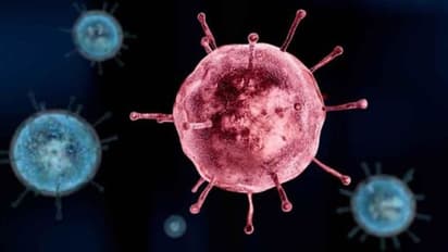 സ്വകാര്യ ലാബുകളിൽ നടത്തുന്ന കൊവിഡ് -19 ടെസ്റ്റിന് പരമാവധി ചാർജ് 4,500 രൂപയിൽ കൂടരുത്