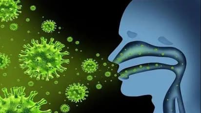 കൊറോണ വൈറസുകളെ കുറിച്ച് പ്രധാനപ്പെട്ട ഏഴ് കാര്യങ്ങള്‍