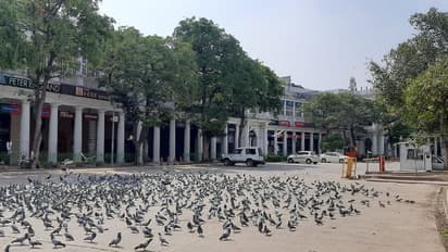 করোনায় জেরবার বিশ্বে নতুন করে আশঙ্কার মেঘ, এবার উত্তর মেরুর ওজন স্তরে দেখা দিল ছিদ্র