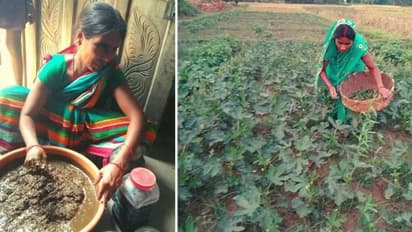 വിദ്യാഭ്യാസമില്ല, അടുക്കളയിലൊതുങ്ങേണ്ടി വന്നു, പക്ഷേ, ഇന്ന് ഇവരുടെ മാസശമ്പളം 90,000 രൂപ