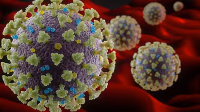 From France to Florida, virus villains defy Coronavirus lockdown, stage parties