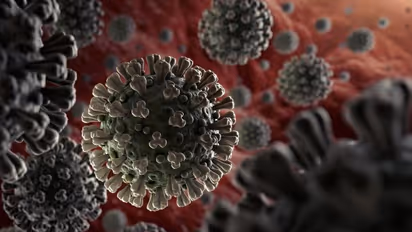 కోల్ కతాలో 55 ఏళ్ల వ్యక్తి మృతి: దేశంలో 9కి చేరిన మృతుల సంఖ్య