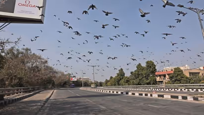 ലോക് ഡൗണ്‍: അന്തരീക്ഷത്തിലെ സൂക്ഷ്മ കണികകളുടെ അളവ് 20 വര്‍ഷത്തെ ഏറ്റവും കുറഞ്ഞ തോതില്‍