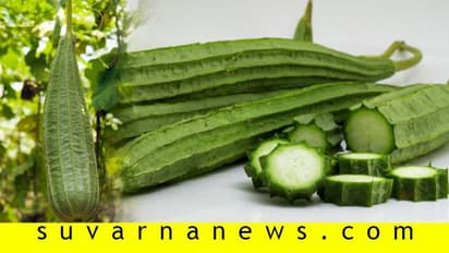 ಸುಲಭವಾಗಿ ಹೀರೆಕಾಯಿ ಹೀಗೆ ಬೆಳೆಯಿರಿ....