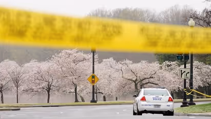 കൊറോണാ കാലത്തെ വസന്തകാലം