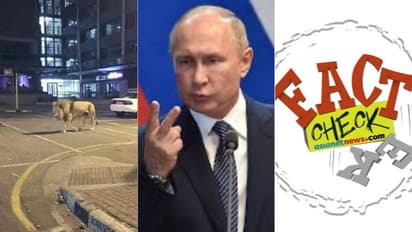 ജനങ്ങളെ വീട്ടിലിരുത്താന്‍ സിംഹത്തെ തെരുവില്‍ ഇറക്കിയോ പുടിന്‍; ചിത്രം സത്യമോ?