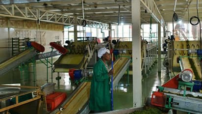 ఇంట్లోనే ఉన్నామని టోకరా: ఆ ఇద్దరిపై పోలీసుల కొరడా