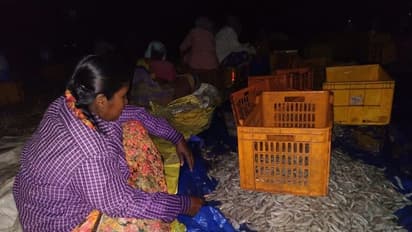 ప్రాణాలతో చెలగాటం: అర్థరాత్రి 70 మంది కూలీలతో రొయ్యలు వొలిపించిన వైనం