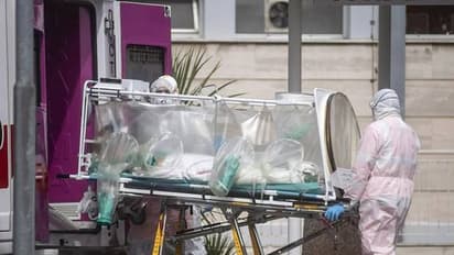 করোনাভাইরাসের রুদ্র রূপ, প্রাণ গেল ট্রাম্পেরে দেশের ছোট্ট শিশুর