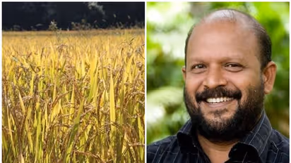 നാളെ മുതല്‍ നെല്ല് സംഭരണം തുടങ്ങും, ലോറികള്‍ എത്തും; ഉറപ്പ് നല്‍കി മന്ത്രി സുനില്‍കുമാര്‍