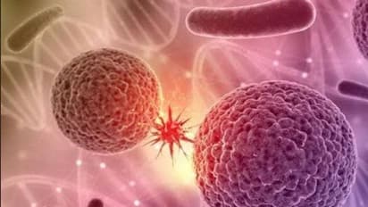 ಗ್ರಾಮ ಪಂಚಾಯತ್ ಅಧ್ಯಕ್ಷೆ, ಪಿಡಿಒ ಸೇರಿ 44 ಮಂದಿಗೆ ಕ್ವಾರಂಟೈನ್‌