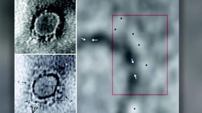 കൊറോണ വൈറസിന്റെ ആദ്യ മൈക്രോസ്കോപ് ചിത്രം പുറത്തുവിട്ട് ഇന്ത്യൻ ശാസ്ത്രജ്ഞർ