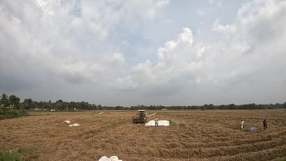 കൊവിഡ് 19;  ആശങ്കകള്‍ക്കിടയിലും അപ്പര്‍ കുട്ടനാട്ടില്‍ കൊയ്ത്ത്