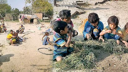 కరోనా లాక్ డౌన్: మోడీ నియోజకవర్గంలో తిండి దొరక్క గడ్డి తింటున్న పిల్లలు