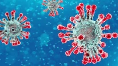 ಮಂಗಳೂರಲ್ಲಿ ಕೊರೋನಾ ಸೋಂಕಿತರ ಆರೋಗ್ಯ ಸ್ಥಿರ