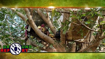 ঘরে ঢুকলে বিপদ হতে পারে, পুরুলিয়ায়  গাছেই হোম কোয়রান্টিনে চেন্নাই ফেরত সাত