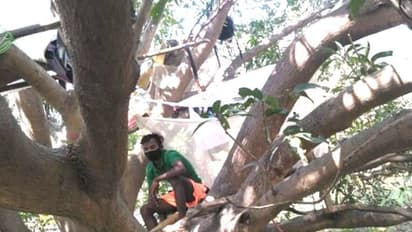 மேற்கு வங்க இளைஞர்கள் கொரோனாவை விரட்ட மரங்களில் கூடாரம்..! வைரலாகும் புகைப்படங்கள்..!!