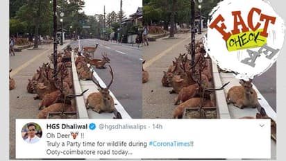 ഊട്ടി കോയമ്പത്തൂര്‍ പാത മാനുകള്‍ കയ്യേറിയോ? പ്രചാരണത്തിലെ സത്യം ഇതാണ്