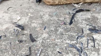 করোনায় রক্ষে নেই, এবার 'ছাইবৃষ্টি'-তে আতঙ্ক ছড়াল কলকাতা লাগোয়া জেলাগুলিতে