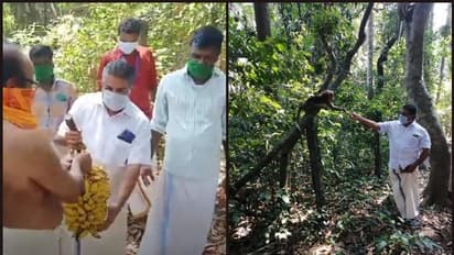 വിശന്നിരിക്കുന്ന കുരങ്ങുകള്ക്കും ഭക്ഷണമെത്തിച്ച് ഡിവൈഎഫ്ഐ മാതൃക