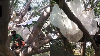 ഒറ്റമുറി വീട്ടില്‍ സൗകര്യങ്ങളില്ല; മരച്ചില്ല വീടാക്കി മാറ്റി അവര്‍ ഏഴുപേരും ക്വാറന്‍റൈനിലാണ്