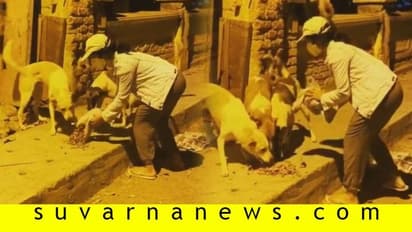 ಬೀದಿ ನಾಯಿಗಳಿಗೆ ನೆರವಾದ ಕನ್ನಡ ನಟಿ; ನೆಟ್ಟಿಗರು ಫುಲ್‌ ಫಿದಾ!